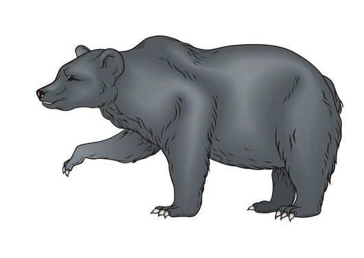 Bear Vector Wall Decal
