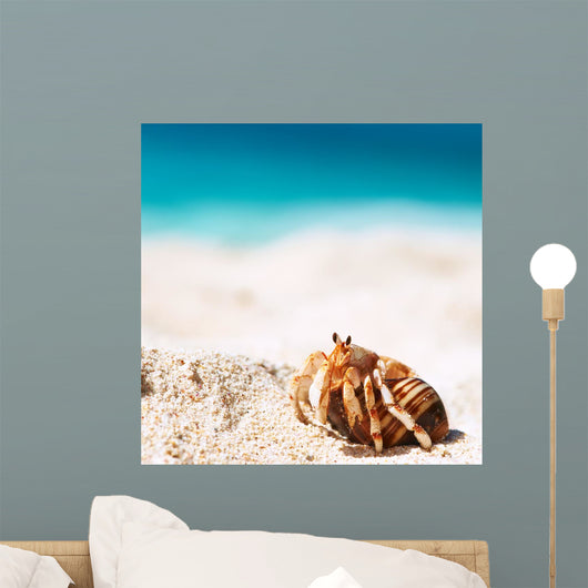 Hermit Crab Beach Wall Decal