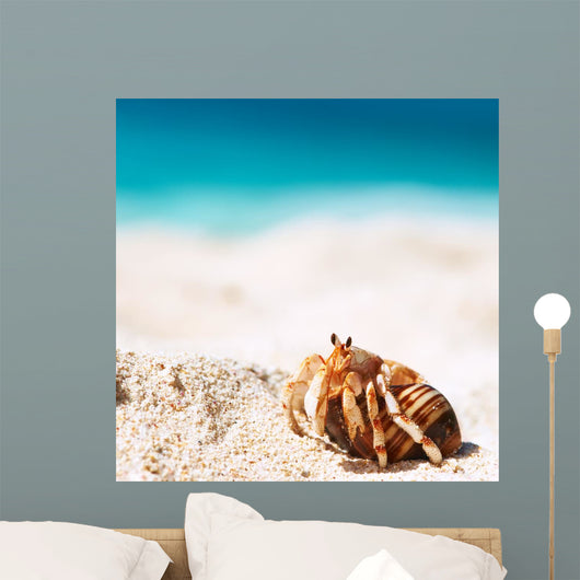Hermit Crab Beach Wall Decal