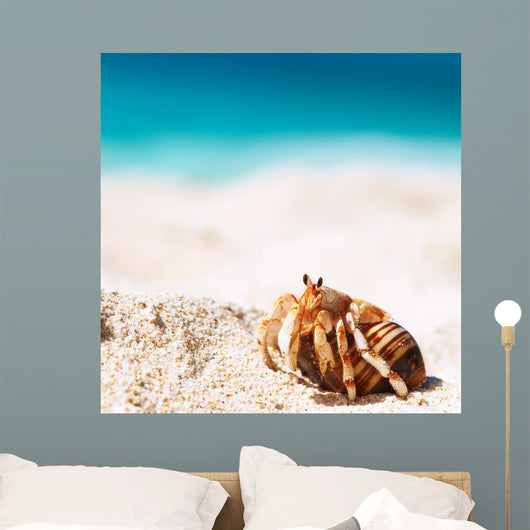 Hermit Crab Beach Wall Decal