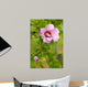 Rose Sharon 2 Wall Decal