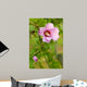 Rose Sharon 2 Wall Decal