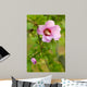 Rose Sharon 2 Wall Decal