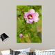 Rose Sharon 2 Wall Decal