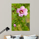 Rose Sharon 2 Wall Decal