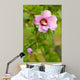 Rose Sharon 2 Wall Decal