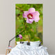 Rose Sharon 2 Wall Decal