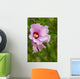 Rose Sharon 1 Wall Decal