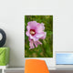 Rose Sharon 1 Wall Decal