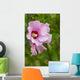 Rose Sharon 1 Wall Decal