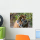 Sumatran Tiger Wall Decal
