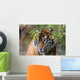 Sumatran Tiger Wall Decal