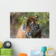 Sumatran Tiger Wall Decal