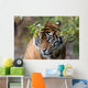 Sumatran Tiger Wall Decal