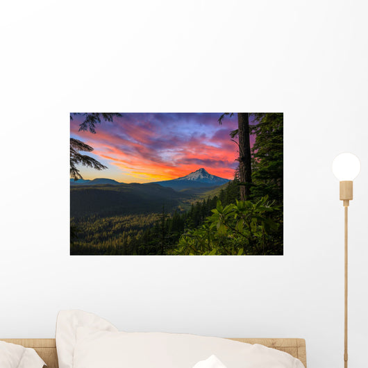 Beautiful Vista Mount Hood Wall Decal
