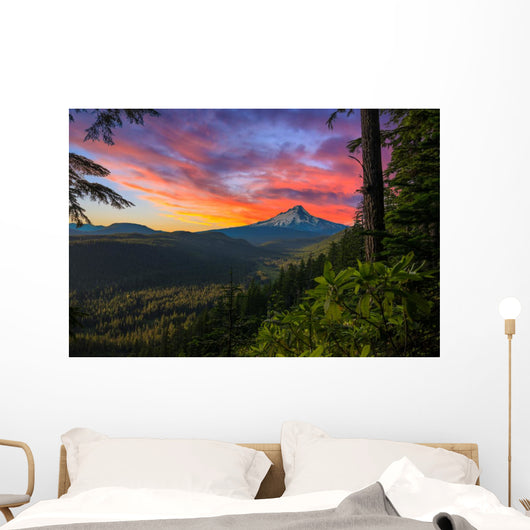 Beautiful Vista Mount Hood Wall Decal