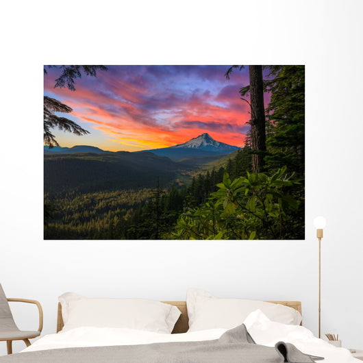 Beautiful Vista Mount Hood Wall Decal