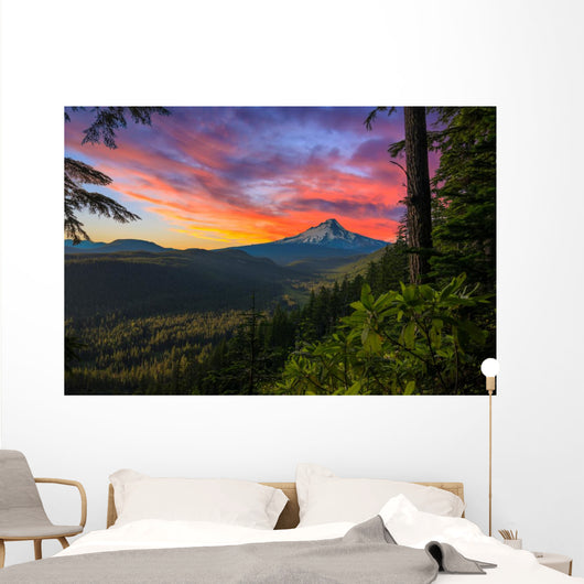 Beautiful Vista Mount Hood Wall Decal