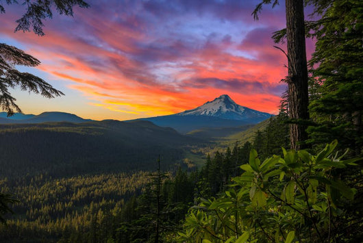 Beautiful Vista Mount Hood Wall Decal