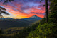 Beautiful Vista Mount Hood Wall Decal