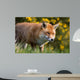Red Fox Wall Decal Design 2