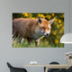 Red Fox Wall Decal Design 2
