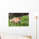 Red Fox Wall Decal Design 1