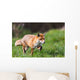 Red Fox Wall Decal Design 1