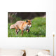 Red Fox Wall Decal Design 1