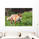 Red Fox Wall Decal Design 1