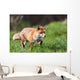 Red Fox Wall Decal Design 1