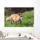 Red Fox Wall Decal Design 1