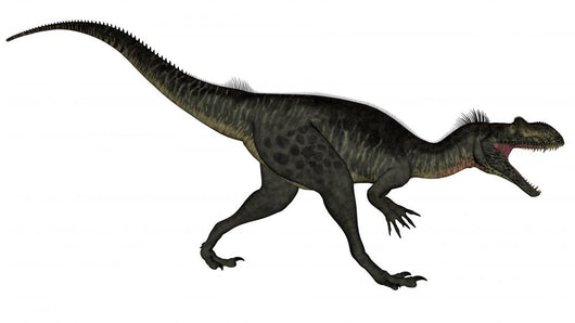 Megalosaurus Dinosaur Wall Decal