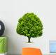 Perfekter Baum Eine Esche Wall Decal