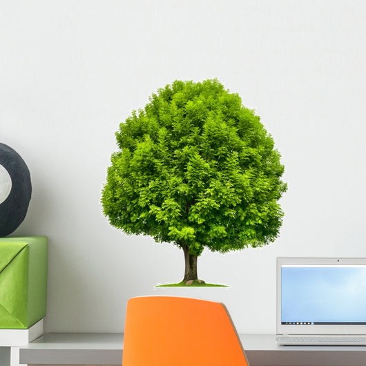 Perfekter Baum Eine Esche Wall Decal