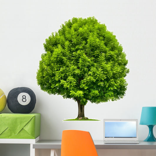 Perfekter Baum Eine Esche Wall Decal