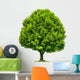 Perfekter Baum Eine Esche Wall Decal