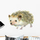 Watercolor Little Hedgehog Wall Decal