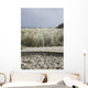 Spiekeroog Miket Wall Decal