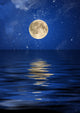 Reflection Moon and Stars Wall Decal