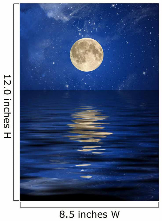 Reflection Moon and Stars Wall Decal