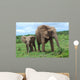 African Elephants Wall Decal