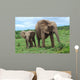 African Elephants Wall Decal