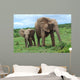 African Elephants Wall Decal