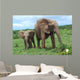 African Elephants Wall Decal