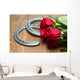Kentucky Derby Red Roses Wall Decal
