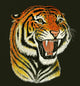Tiger Roar Drawing Wall Decal