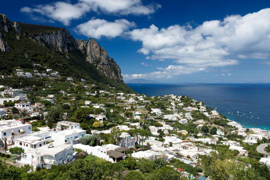 Capri Wall Decal