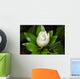Magnolia Blossom Wall Decal