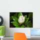 Magnolia Blossom Wall Decal